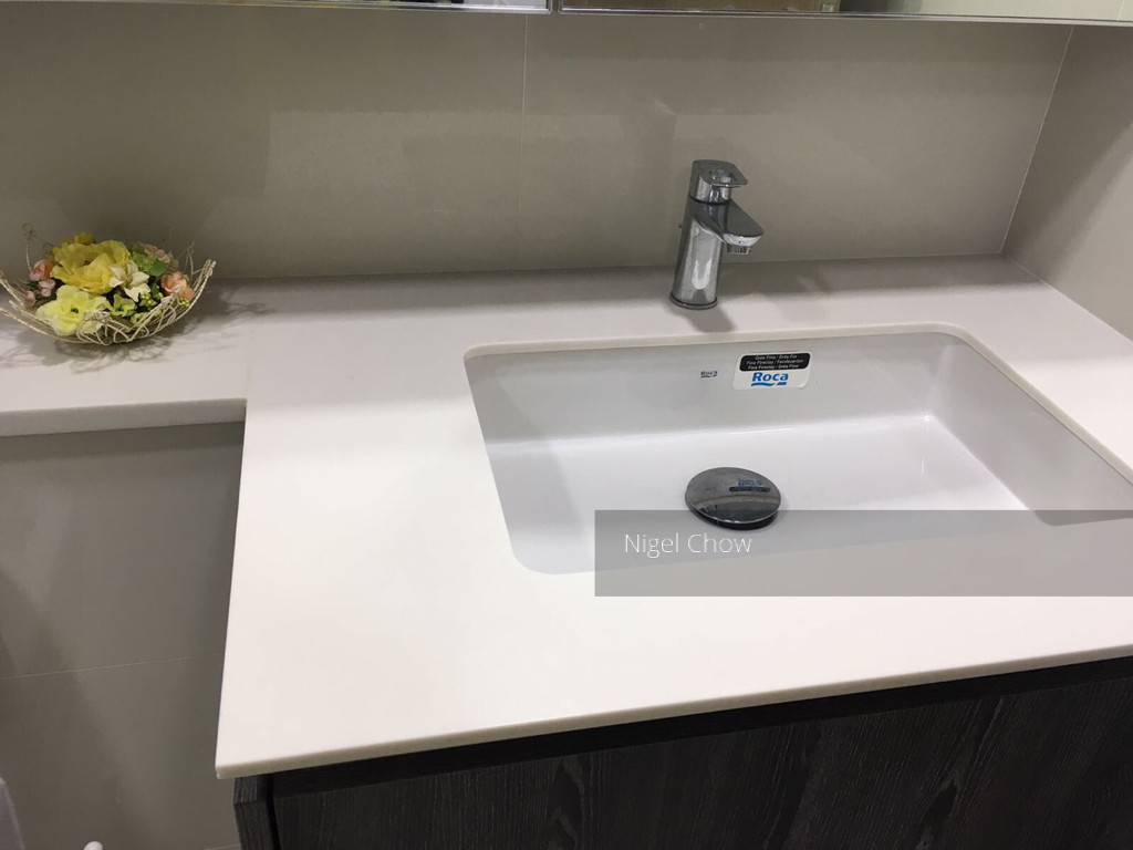 Lakeville (D22), Condominium #153163022